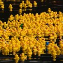 FG Sandhausen 11 Ziegler Peter