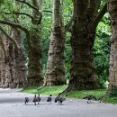 FG Sandhausen 12 Ziegler Peter