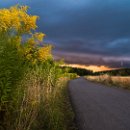 FG Sandhausen 22 von Appen Frank