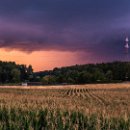 FG Sandhausen 23 von Appen Frank