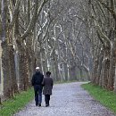 FG Sandhausen 30 Laub Harry