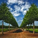 fc sinsheim 18 renate rubel mueller