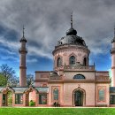 fc sinsheim 19 renate rubel mueller