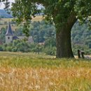 fc sinsheim 22 robert mueller