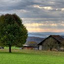 fc sinsheim 25 lutz petersen