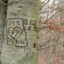 fc sinsheim 31 robert mueller