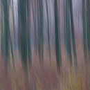 fc sinsheim 33 hans maier