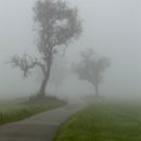 FFÖ Östringen 18 Debatin