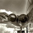 FFÖ Östringen 22 Willi Hoffmann