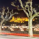 FFÖ Östringen 24 Thomas