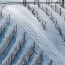 FFÖ Östringen 35 Kasten