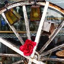 Reflex'82 05 Armin Gutruf