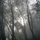 FZ Mannheim 02 Christa Treiber