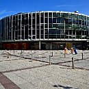 FZ Mannheim 08 Felix Novotny