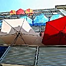 FZ Mannheim 11 Felix Novotny