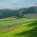 FZ Mannheim 21 Christa Treiber