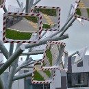 10 Riesenacker Rolf 01