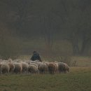 14 FC sinsheim oechsner petra maria schaefer.jpg