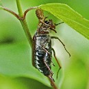 FFFK 18 Wolf-Diether Giersch