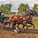 FFFK 32 Werner Matzke