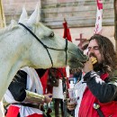 FFFK 33 Werner Matzke