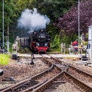 FFFK 35 Werner Matzke