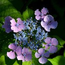 FFC Ketsch Rolf Riesenacker 02