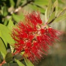 FFC Ketsch Wolfgang Gorzitze 02