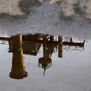 ftrn duisburg-2017 12