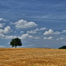 Fotozirkel Mannheim 15 Ulrich Heinrich