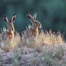 Fotozirkel Mannheim 16 Eimers Manfred