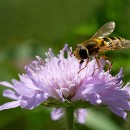 Fotozirkel Mannheim 19 Schlote Barbara