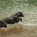 10 Giersch Wolf-Diether