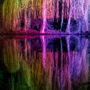 LF kronau 09 Matthias Knecht