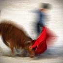 Reflex 82 Meckes 23 Werner Hilscher