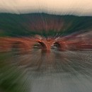 Reflex 82 Meckes 24 Joerg Steigleder