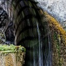 Reflex 82 Meckes 27 Siegbert Luksch