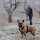 Reflex 82 Meckes 34 Ursula Halter