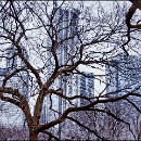 FF-Oberh 04 Baumann Armin 04