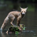 FF-Oberh 21 Bauer Thomas 21