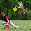 20140426_Dogfrisbee