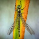 20140321_SV Sandhausen