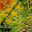 20140321_SV Sandhausen