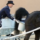 FG Sandhausen 24 Steiner Bernd