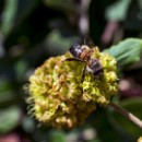 Thema 2 FG Sandhausen 03 Ehret Manfred