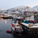 25 Treiber-Kloetzer Christa