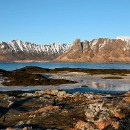 FFFK Mannheim 16 Treiber-Kloetzer Christa