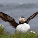 FG Sandhausen 25 Buse Gudrun 01