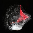 Fotogruppe Edingen Neckerhausen 15