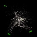 Fotogruppe Edingen Neckerhausen 17